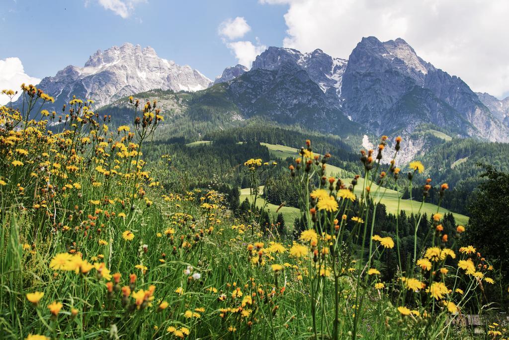 Appartementhaus Salzmann Leogang Exteriér fotografie